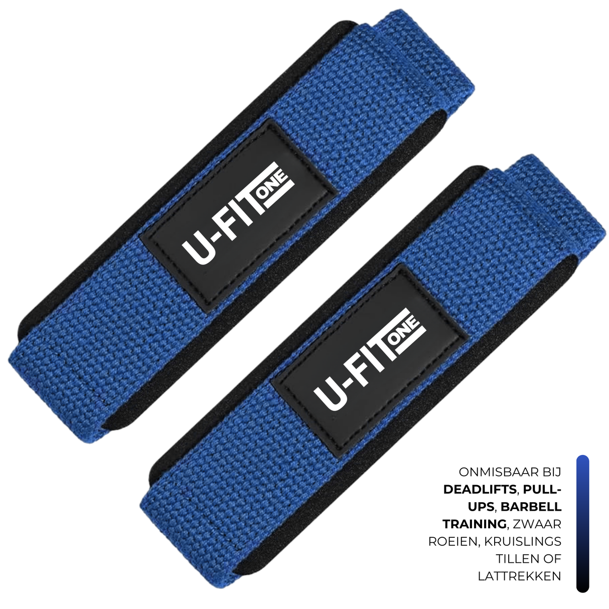 Lifting Straps Blauw
