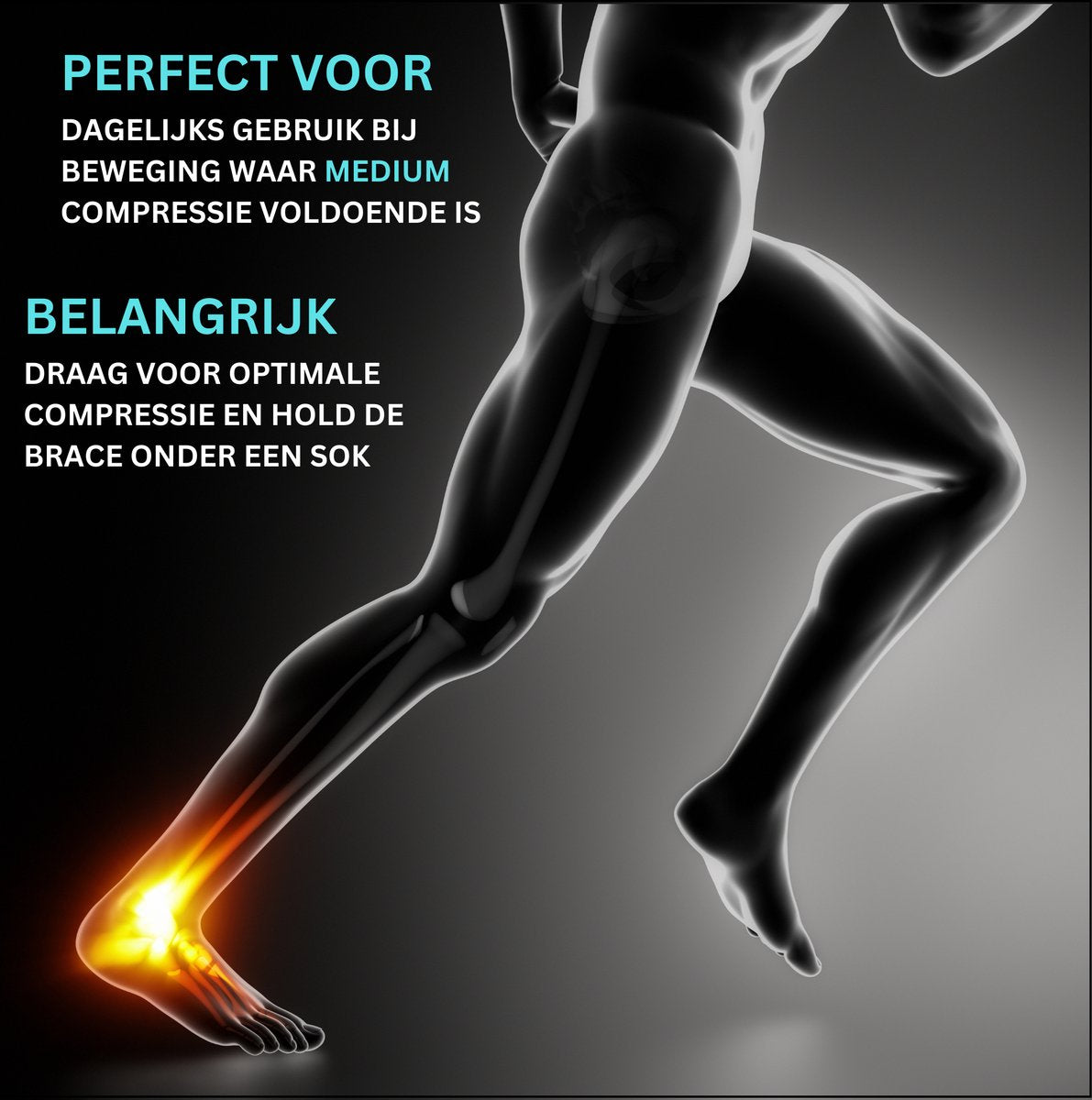 Enkelbrace Zilver 1 Paar