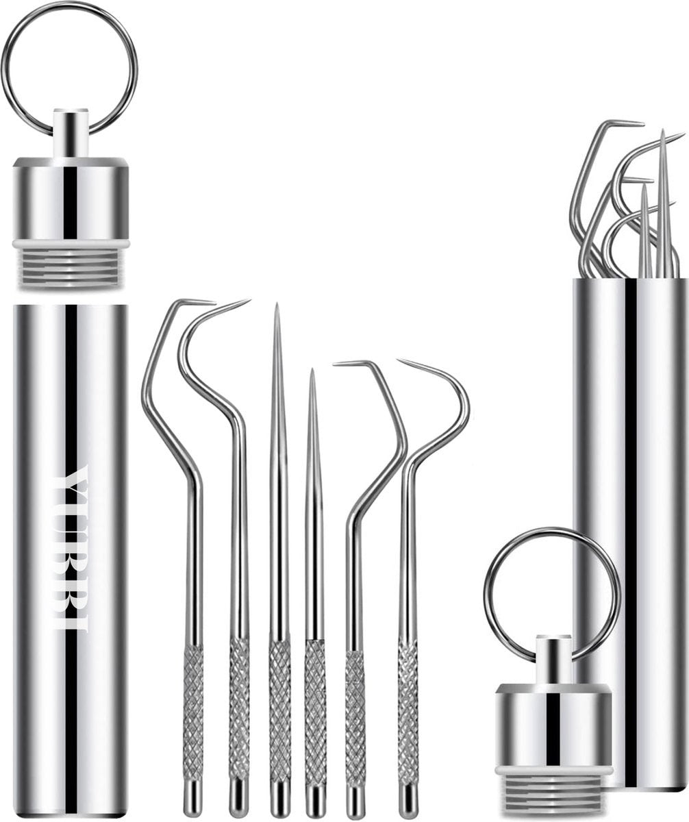 6 Delige Tandenstokers Set met Etui