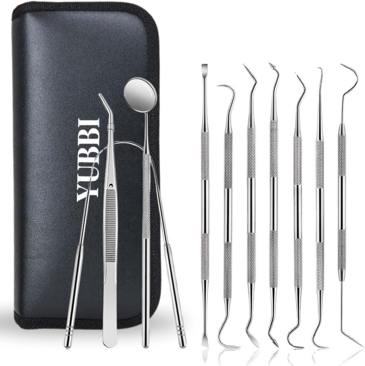 10 Delige RVS Tandarts Set met Etui