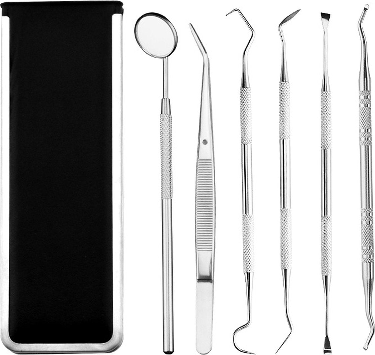 6 Delige RVS Tandarts Set met Etui