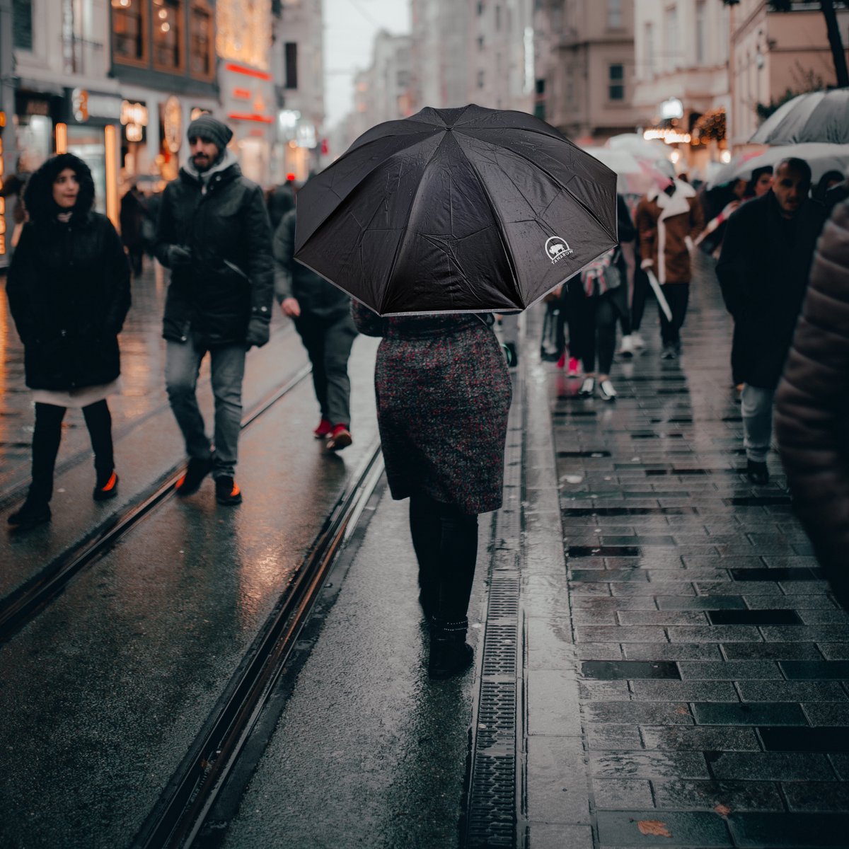 Automatisch Opvouwbare Paraplu Zwart