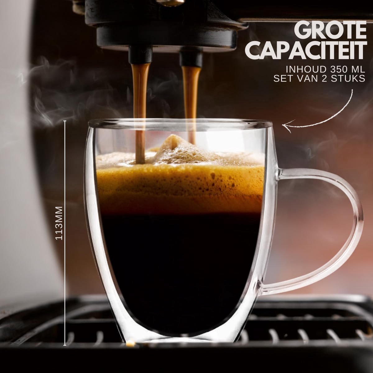Dubbelwandige Glazen met Oor 350ml 2 Stuks