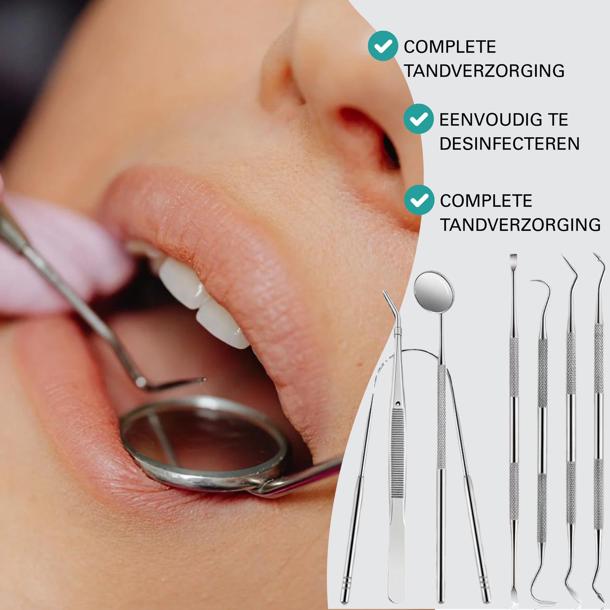 10 Delige RVS Tandarts Set met Etui
