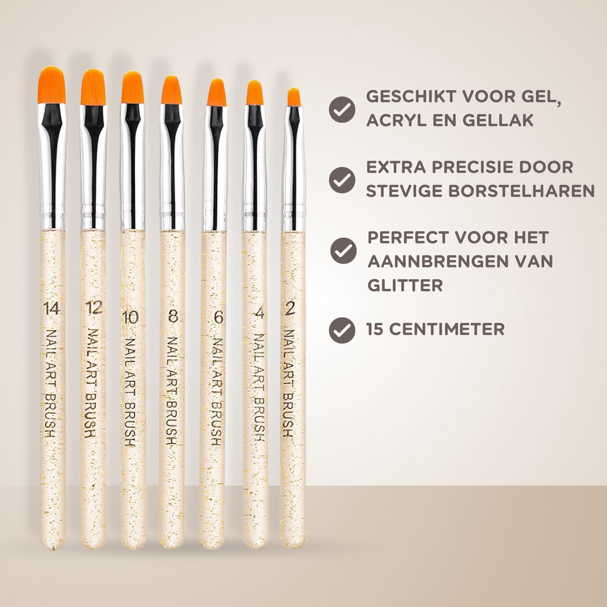 12 delige Nail Art Penselen Set