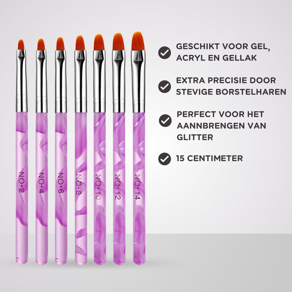 12 delige Nail Art Penselen Set