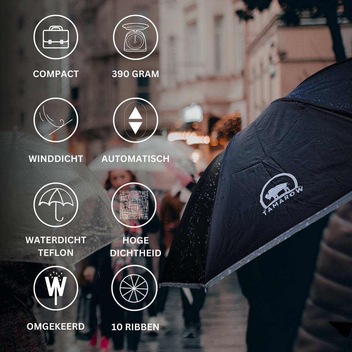 Automatisch Opvouwbare Paraplu Zwart