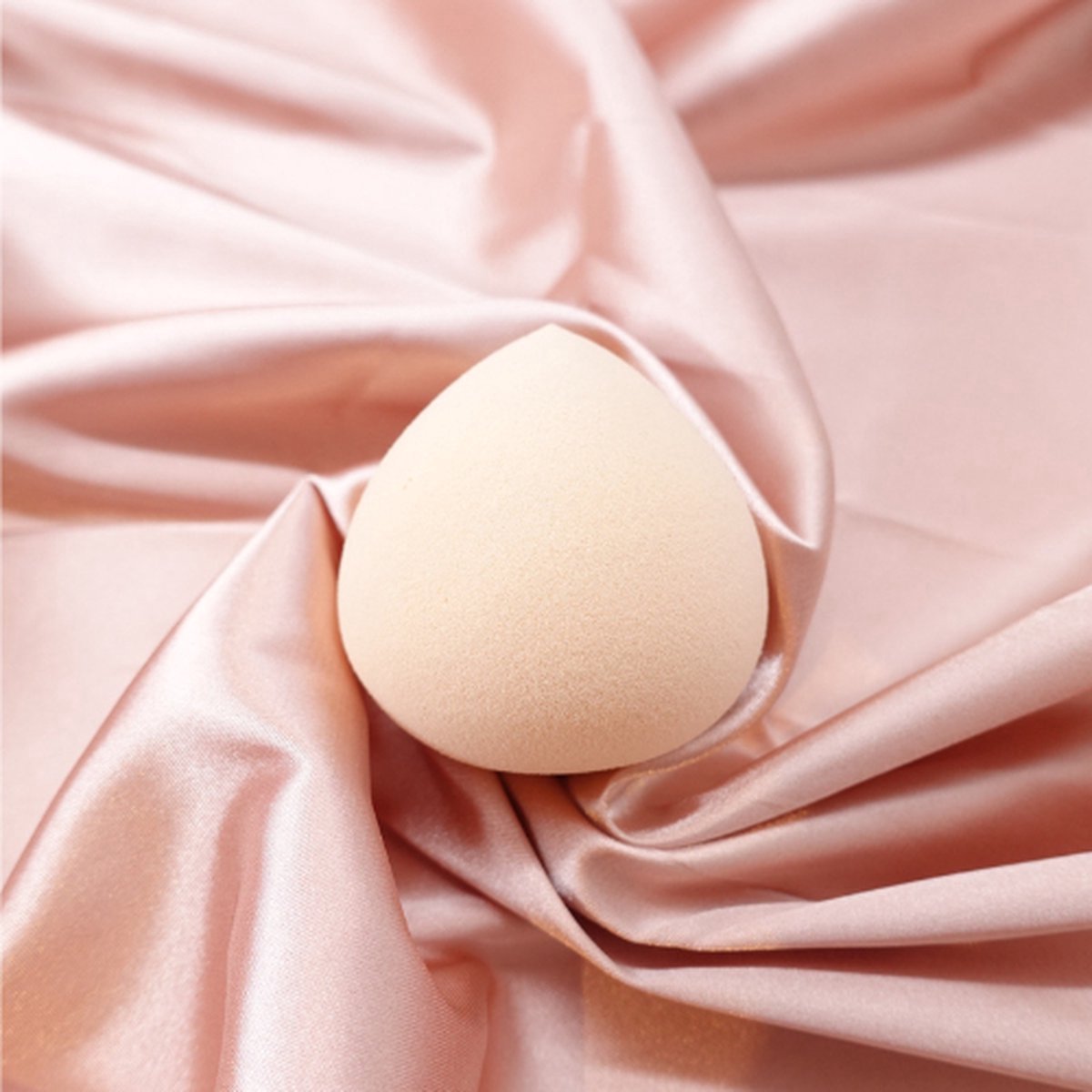 Professional Beauty Blender Set 10 Stuks