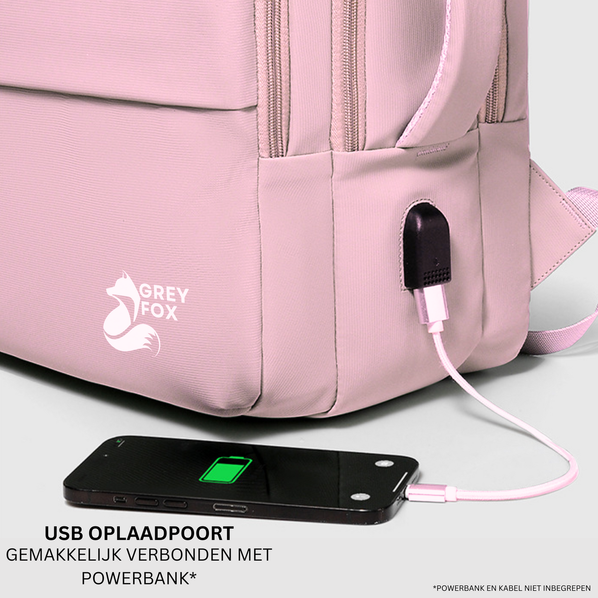 Laptop Rugzak USB 17inch 30L Roze