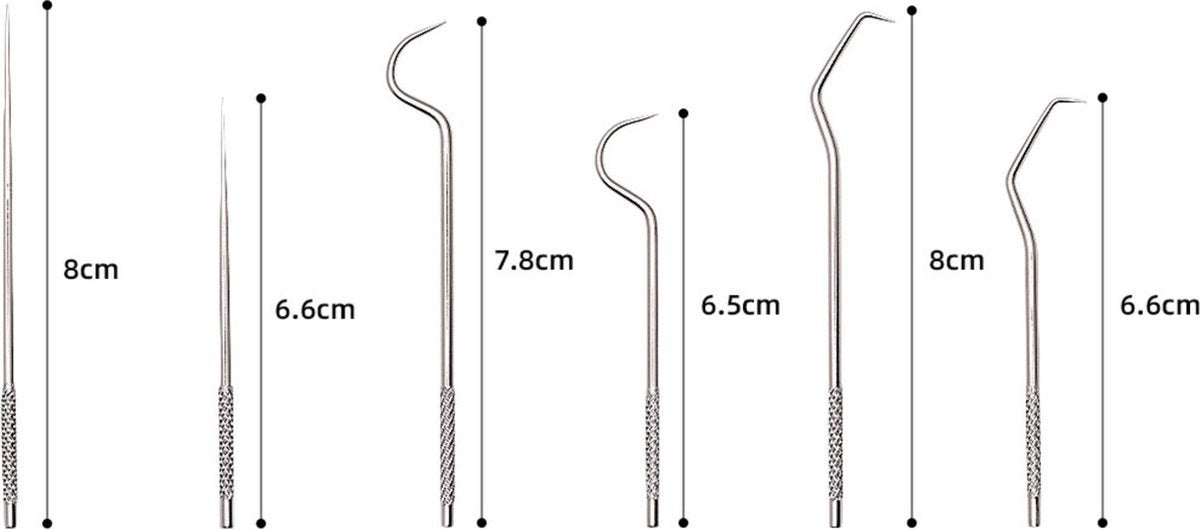 6 Delige Tandenstokers Set met Etui