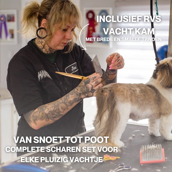 Dierscharen Set Goud/Zwart