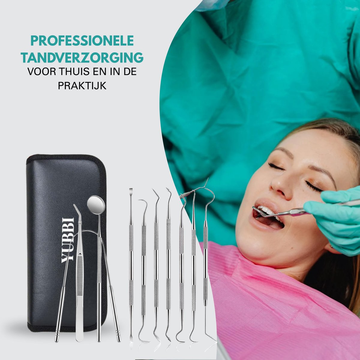 10 Delige RVS Tandarts Set met Etui