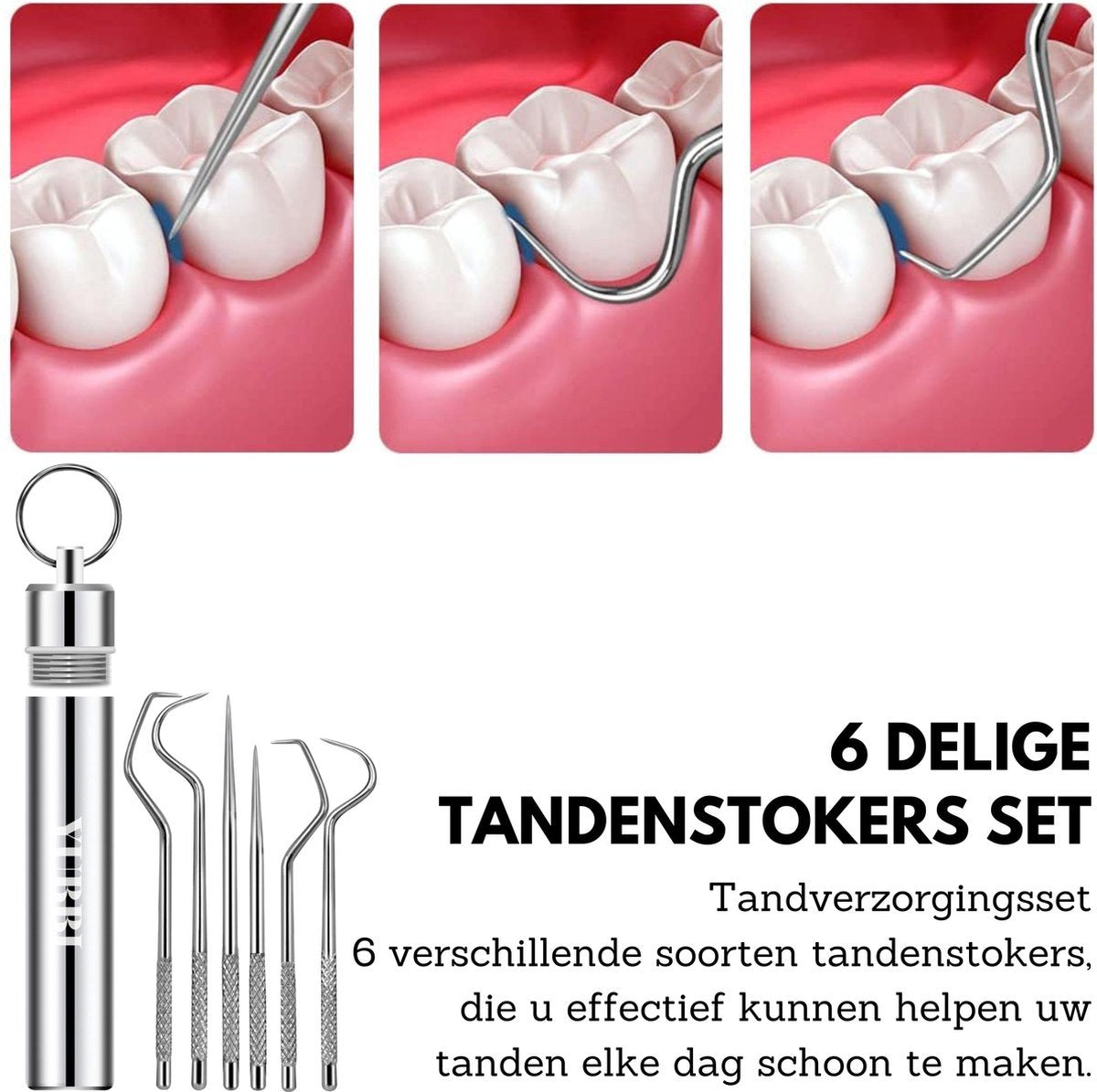 6 Delige Tandenstokers Set met Etui