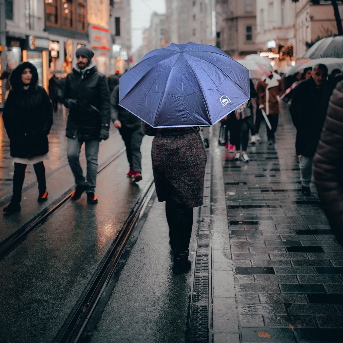 Automatisch Opvouwbare Paraplu Blauw