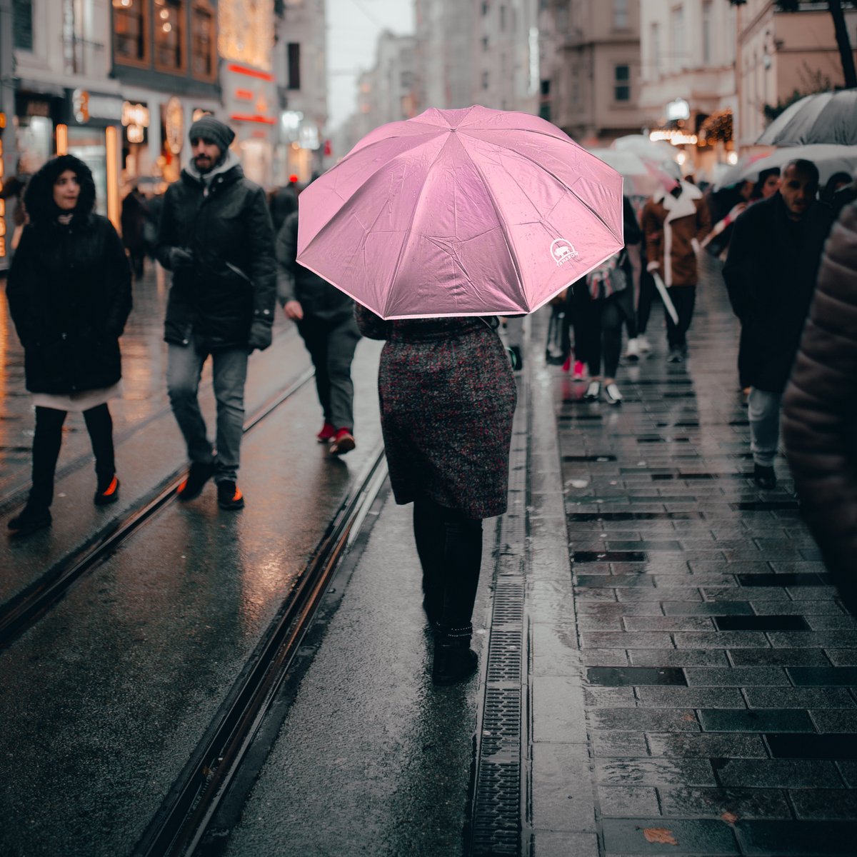 Automatisch Opvouwbare Paraplu Roze