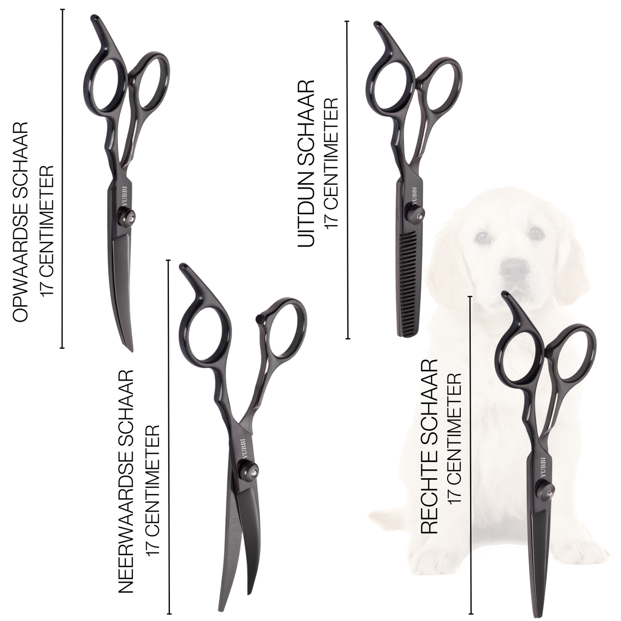 Dierscharen Set Zwart