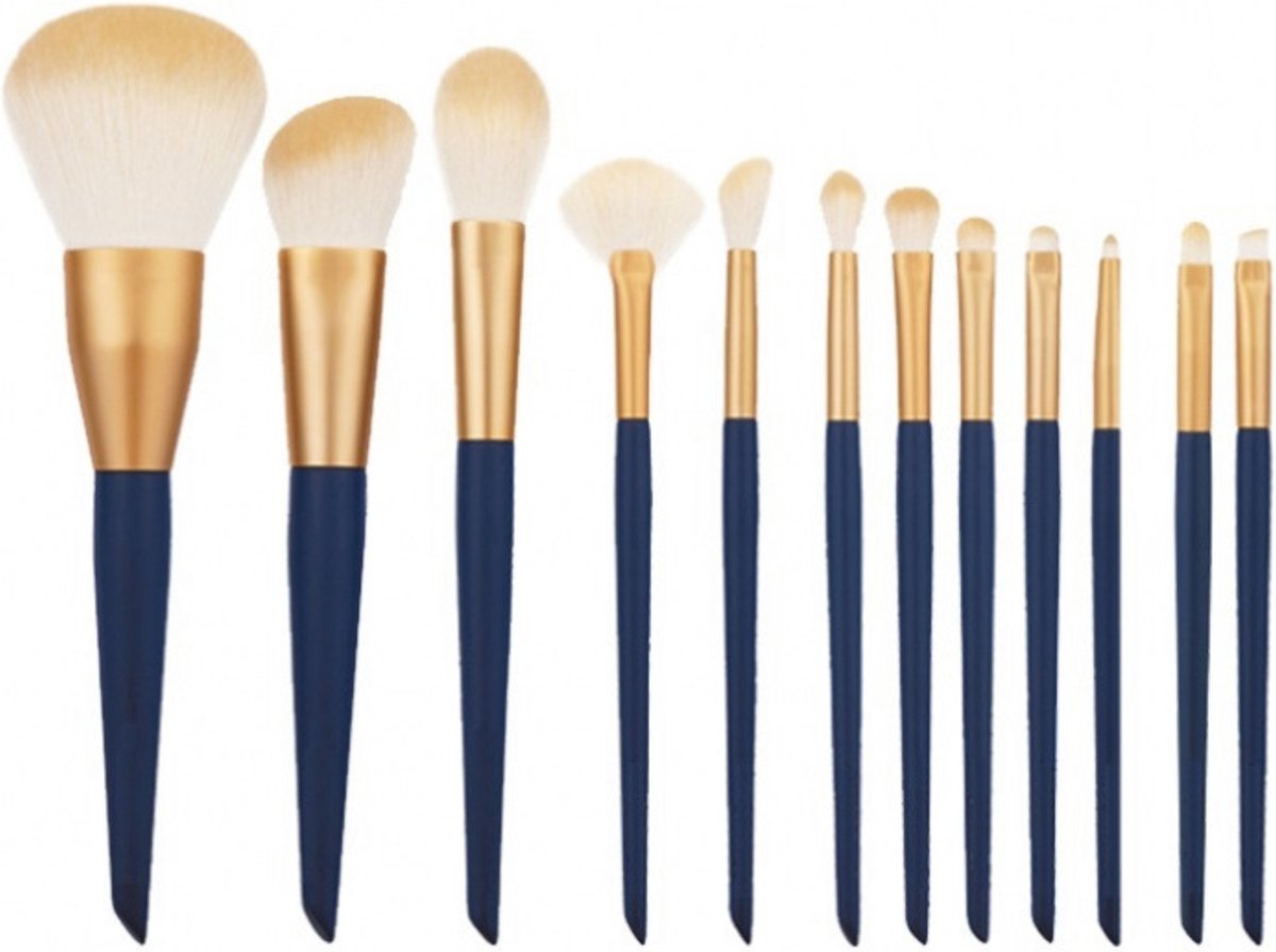 12-delige Make Up Borstels