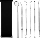 6 Delige RVS Tandarts Set met Etui