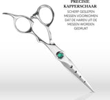 Professionele 6" Kappersschaar Set Zilver