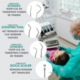 10 Delige RVS Tandarts Set met Etui