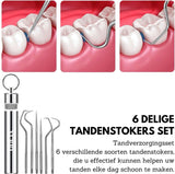 6 Delige Tandenstokers Set met Etui